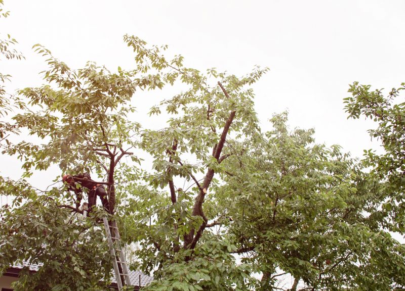 Tree Structure Improvement